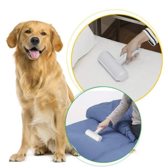 Cat and Dog Hair Remover For Furniture