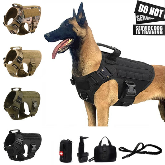 Dog Harness